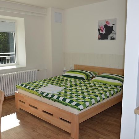 Penzion Havelka Apartmany Zelezna Ruda Bagian luar foto