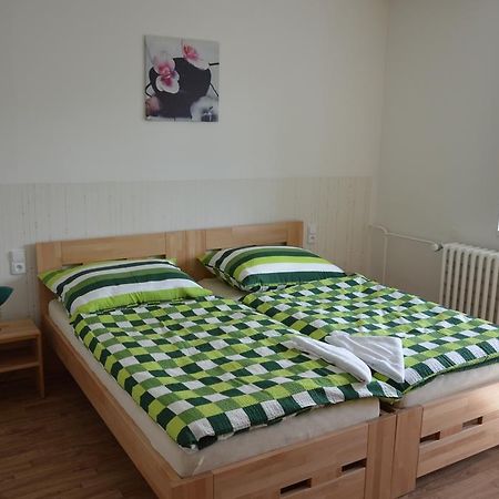 Penzion Havelka Apartmany Zelezna Ruda Bagian luar foto
