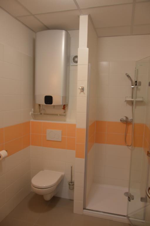 Penzion Havelka Apartmany Zelezna Ruda Bagian luar foto