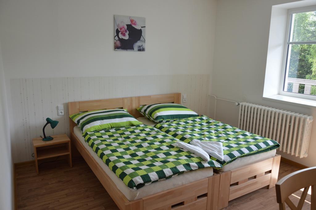 Penzion Havelka Apartmany Zelezna Ruda Bagian luar foto